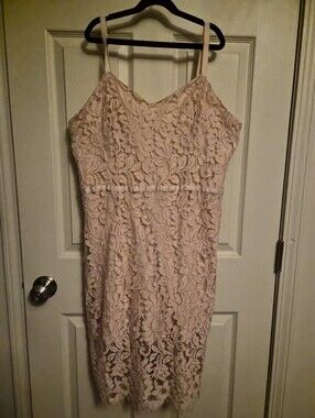 Simply Styled Lace Midi Dress in Light Blush